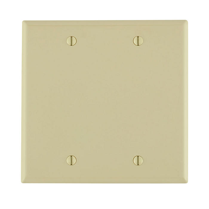 Leviton 2-Gang Blank Nylon Wallplate - 80725